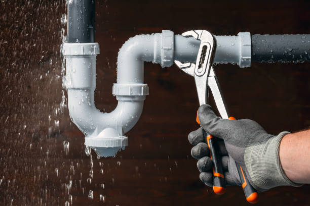 Professional Plumbing technician working in Nelson, VA